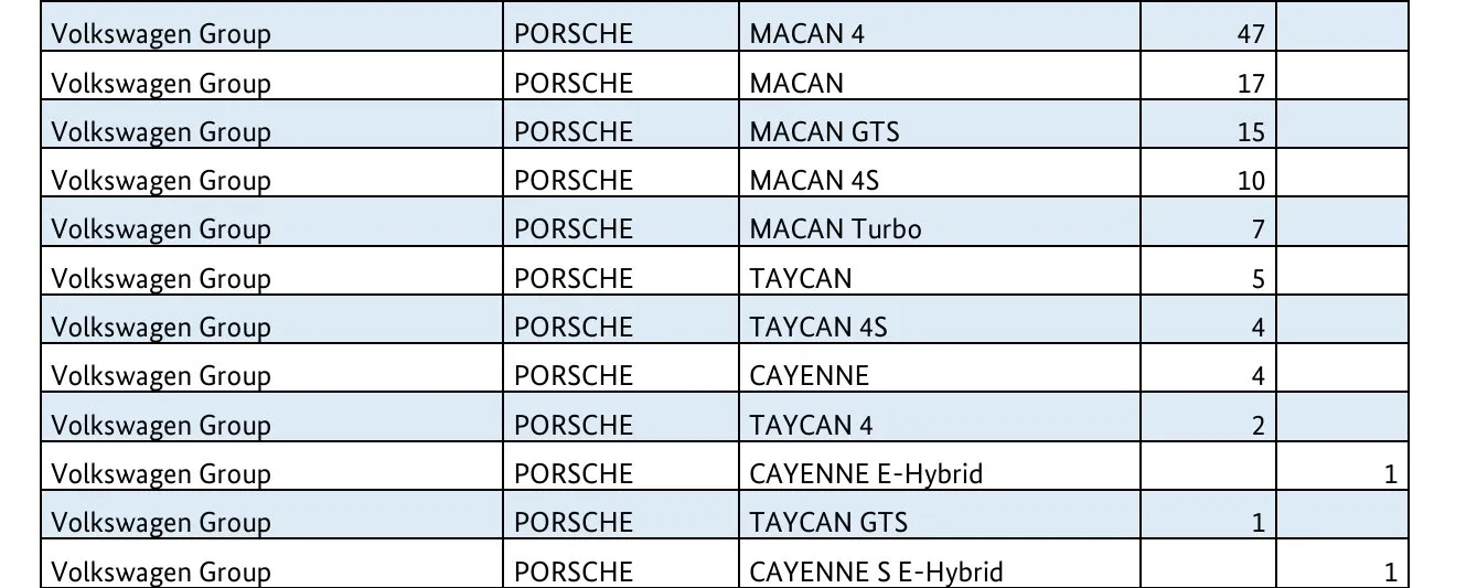 Auszug aus der BAFA-Modellstatistik mit geförderten Porsche-Modellen