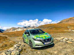Leaf nextmove Alpen